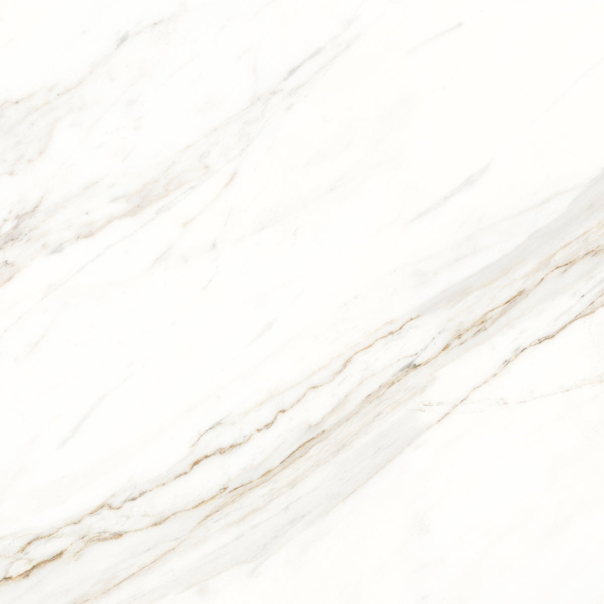 Tazeka Polished/Matt