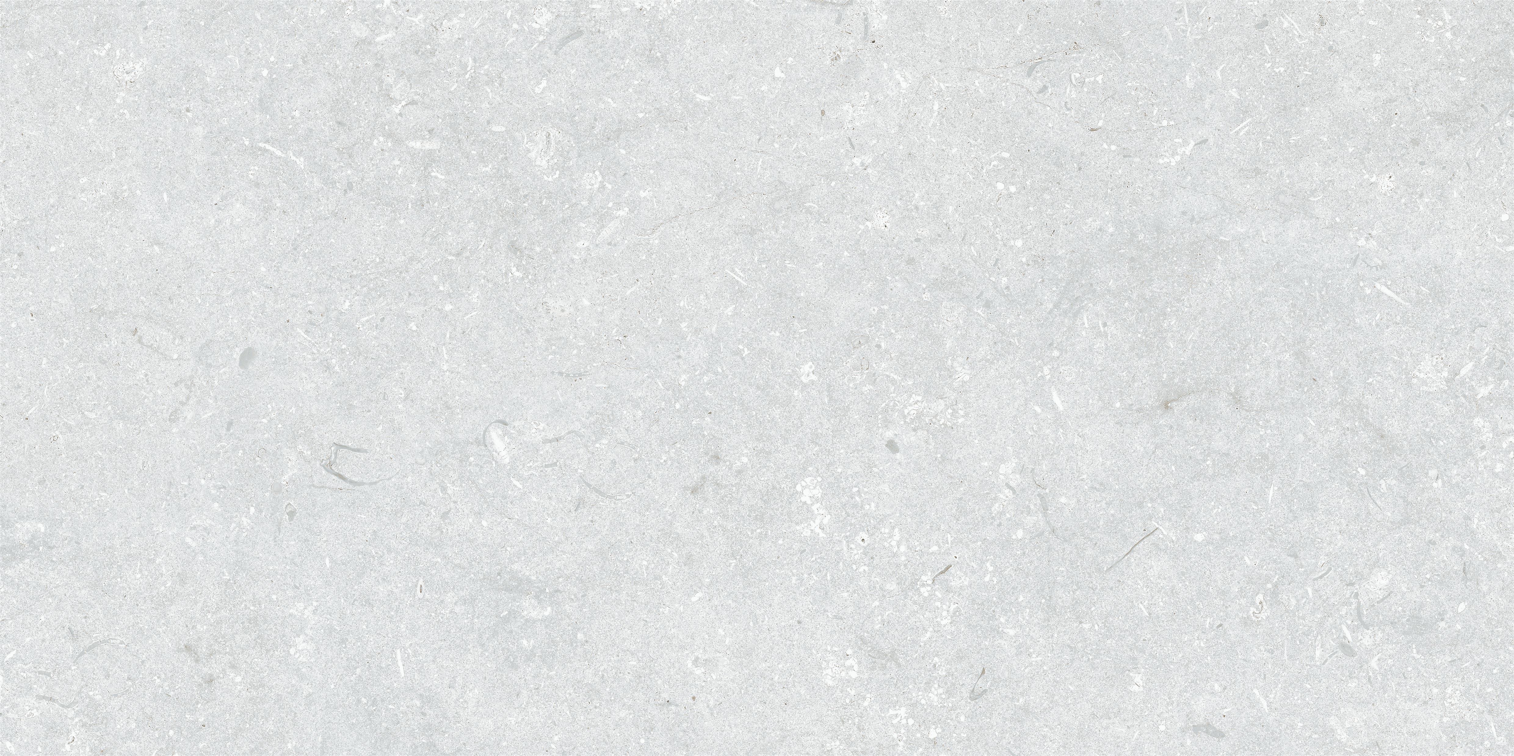 Froast Gray