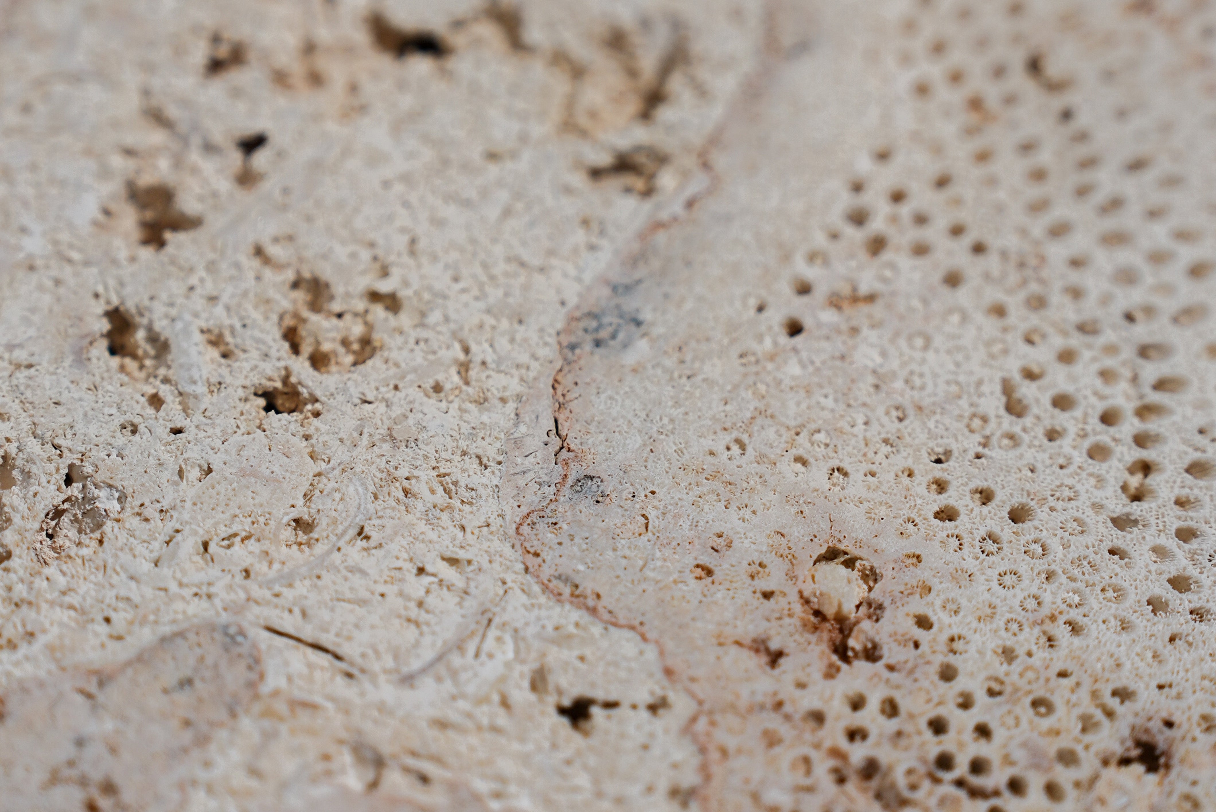 Natural Stone Flooring | STORIA