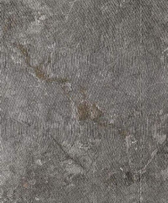 Breccia Text