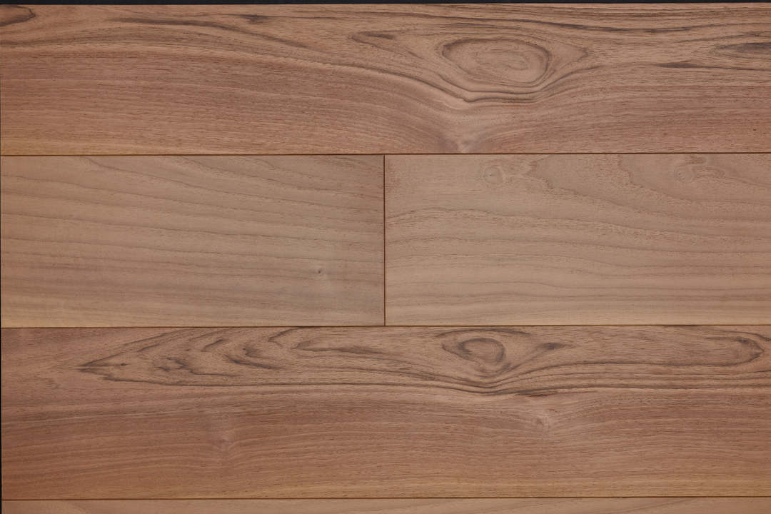 European Walnut