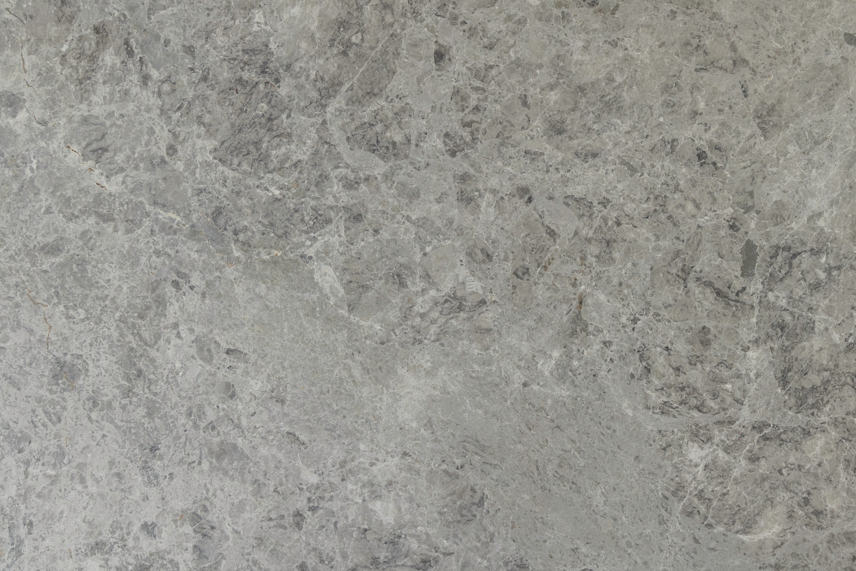 Artic Gray