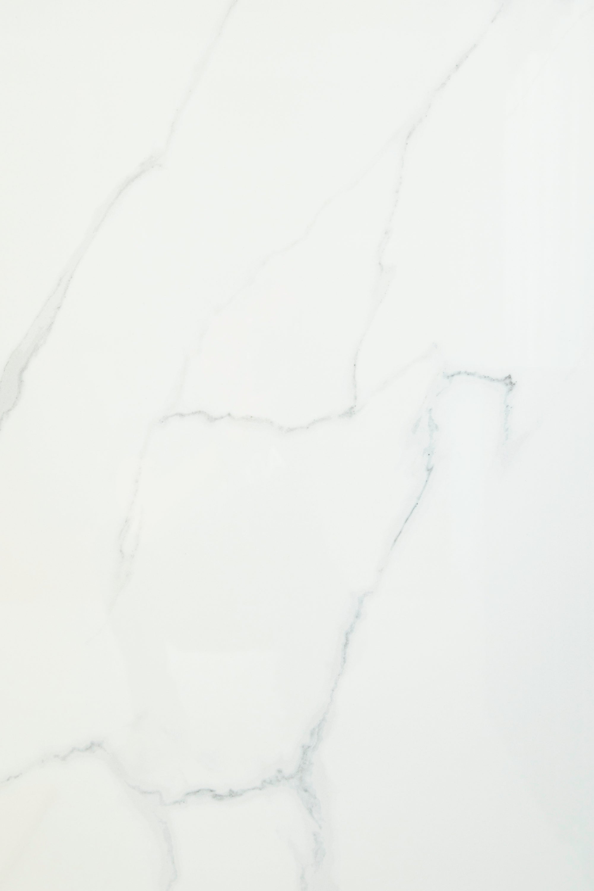 Cadiz Blanco