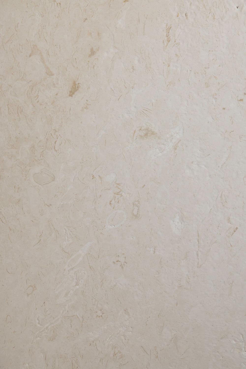 Shellstone Mediterranean Brushed/ Honed