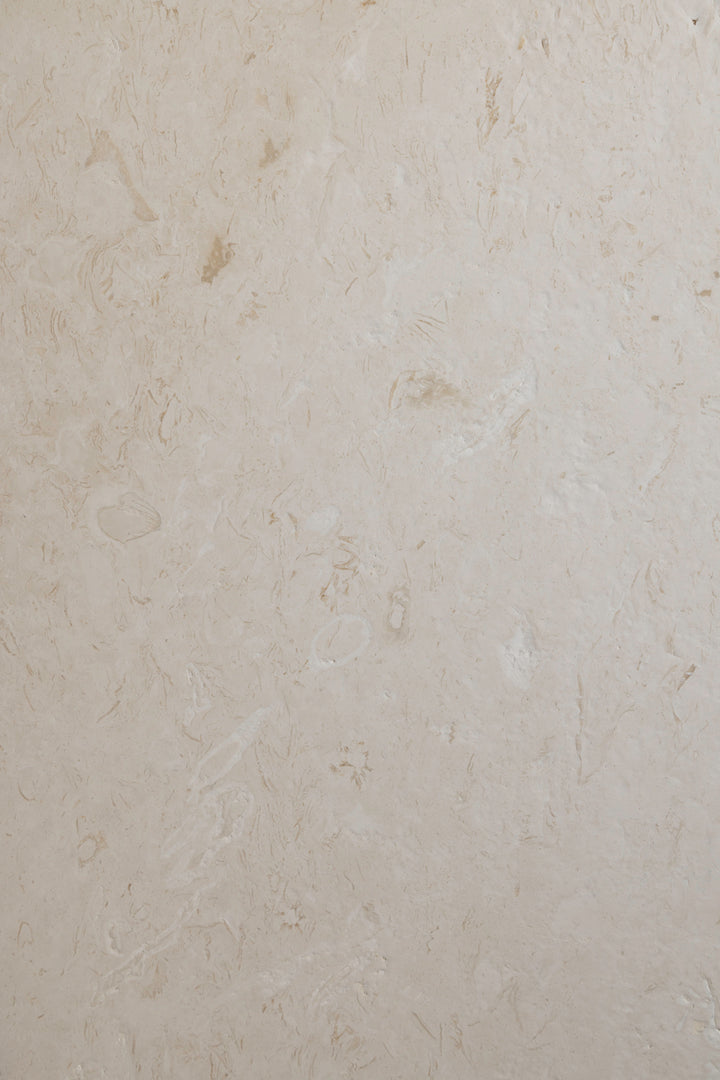 Shellstone Mediterranean Brushed/ Honed