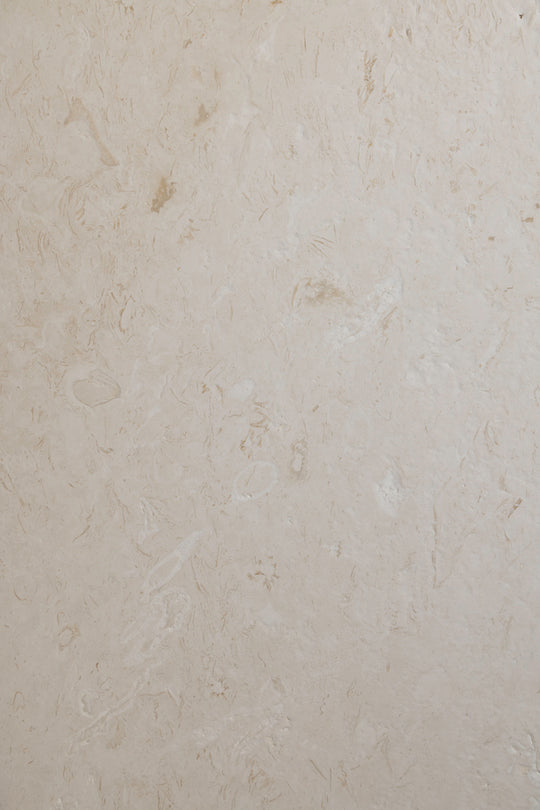 Shellstone Mediterranean Brushed/ Honed